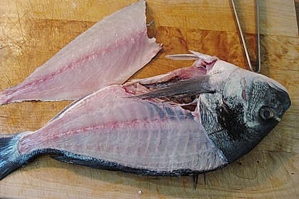 Saltimbocca vom Doradenfilet 2