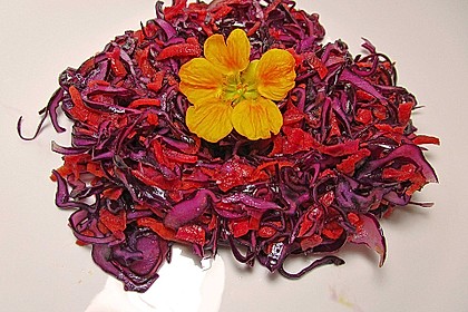 Rotkohl-Möhrensalat 2