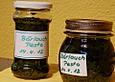 B&auml;rlauch-Basilikum Pesto