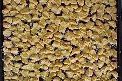 Zwetschgenkuchen mit Mohnquark + Butterstreuseln 3