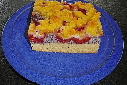 Zwetschgenkuchen mit Mohnquark + Butterstreuseln 4
