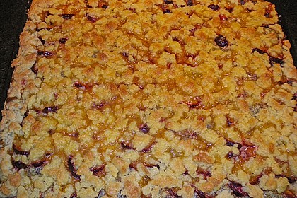 Zwetschgenkuchen mit Mohnquark + Butterstreuseln 5