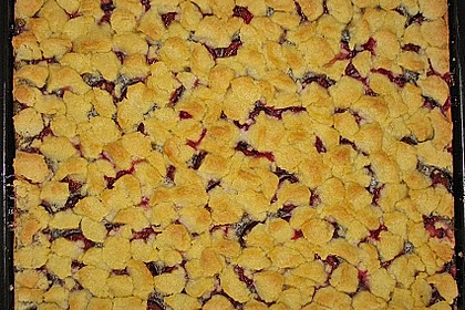 Zwetschgenkuchen mit Mohnquark + Butterstreuseln 7