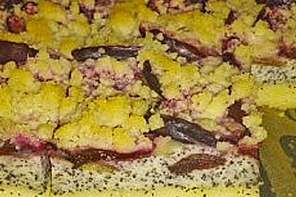 Zwetschgenkuchen mit Mohnquark + Butterstreuseln 9