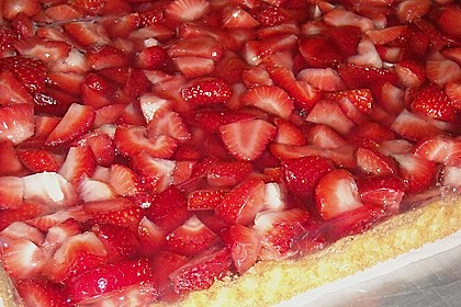 Erdbeertorte vom Blech 1