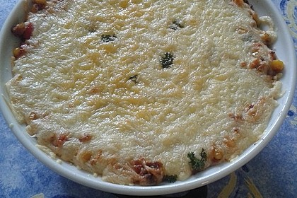 Mells mexikanische Enchilada-Lasagne 62