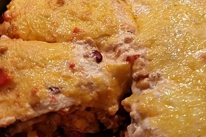 Mells mexikanische Enchilada-Lasagne 58