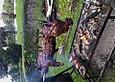 Gew&uuml;rzmarinade f&uuml;r Schwein am Spie&szlig;