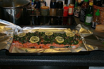 Lachsfilet 27