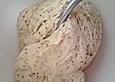 Koriander-Fladenbrot