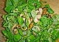 Vogerlsalat mit braunen Champignons