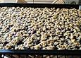 Heidelbeerstreusel