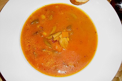 Gyros-Suppe 1