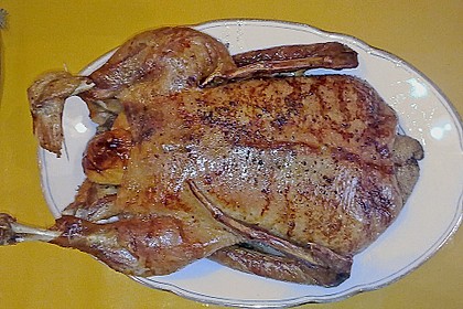 Ente a la Fr&auml;ulein Jensen 41