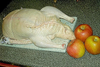 Ente a la Fr&auml;ulein Jensen 16