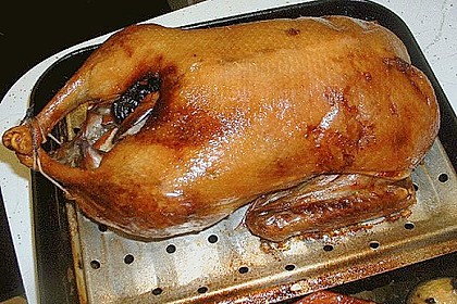 Ente a la Fr&auml;ulein Jensen 20