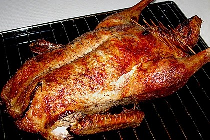 Ente a la Fr&auml;ulein Jensen 61