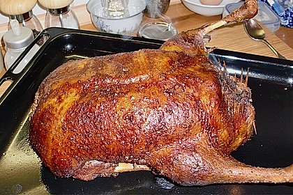 Ente a la Fr&auml;ulein Jensen 66