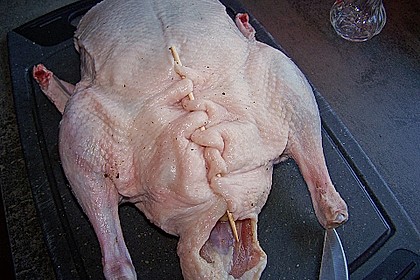 Ente a la Fr&auml;ulein Jensen 82
