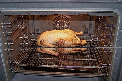 Ente a la Fr&auml;ulein Jensen 83