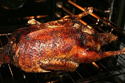 Ente a la Fr&auml;ulein Jensen 28