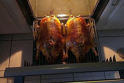 Ente a la Fr&auml;ulein Jensen 102