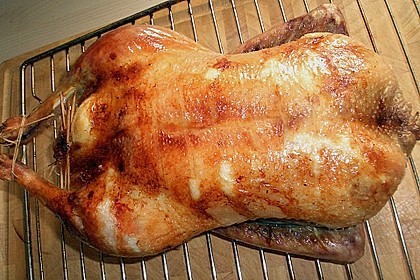 Ente a la Fr&auml;ulein Jensen 37