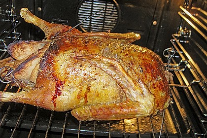 Ente a la Fr&auml;ulein Jensen 38