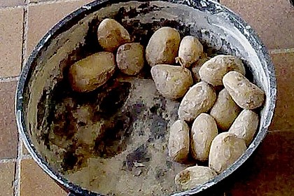 Kanarische Runzelkartoffeln 6
