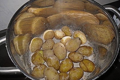 Kanarische Runzelkartoffeln 9