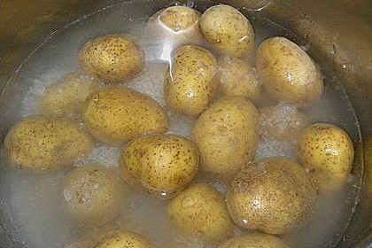 Kanarische Runzelkartoffeln 10