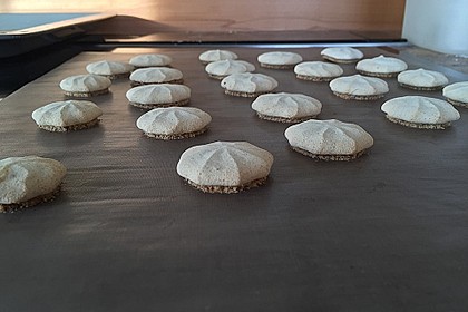 Anisplätzchen 16