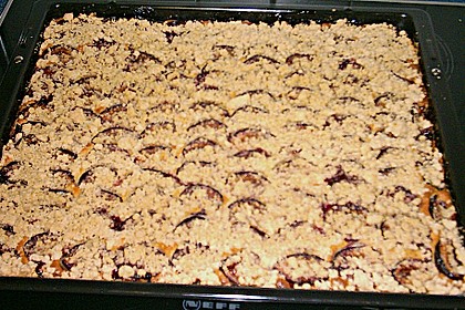 Marzipan-Pflaumenkuchen 9