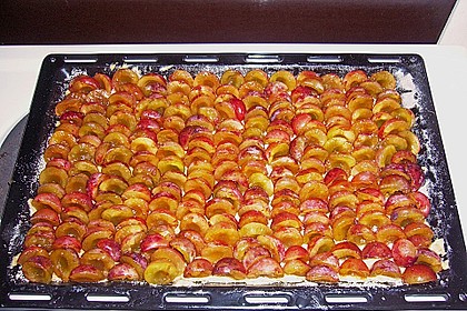 Marzipan-Pflaumenkuchen 26