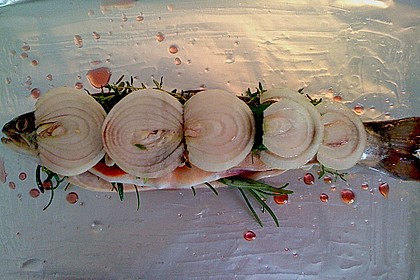 Saibling in Folie 1