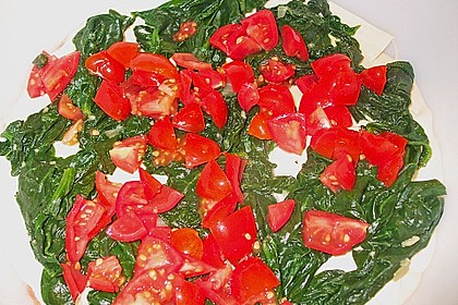 Spinat-Lasagne 7