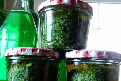 Bärlauchpesto 8