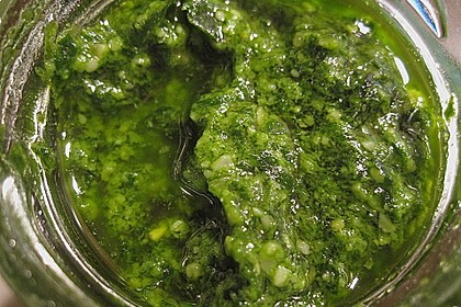 Bärlauchpesto 14