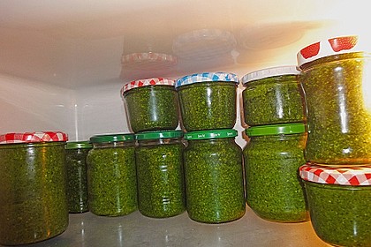 Bärlauchpesto 16