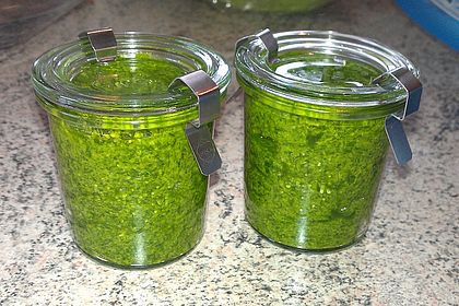 Bärlauchpesto 6