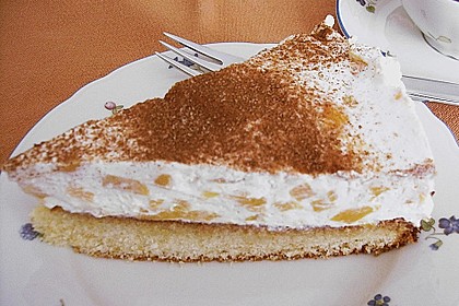Fantakuchen mit Pfirsichschmand 15