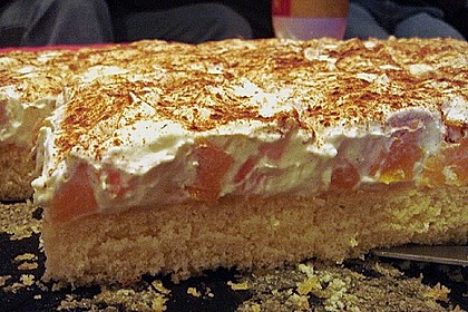 Fantakuchen mit Pfirsichschmand 29
