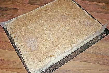 Fantakuchen mit Pfirsichschmand 24