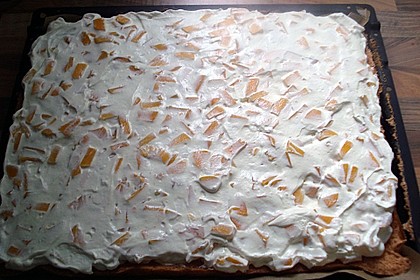 Fantakuchen mit Pfirsichschmand 28