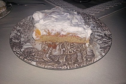 Fantakuchen mit Pfirsichschmand 35
