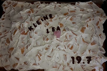 Fantakuchen mit Pfirsichschmand 34
