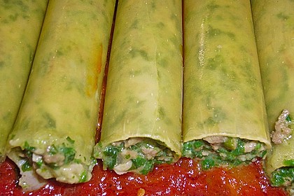 Cannelloni 15