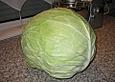 Bayerischer Krautsalat