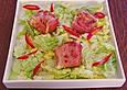 Fetak&auml;se im Schinkenmantel auf Blattsalat