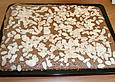 Butter - Schoko - Lebkuchen